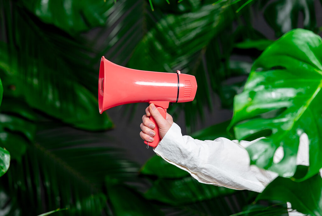 5 técnicas para melhorar o seu pitch de vendas